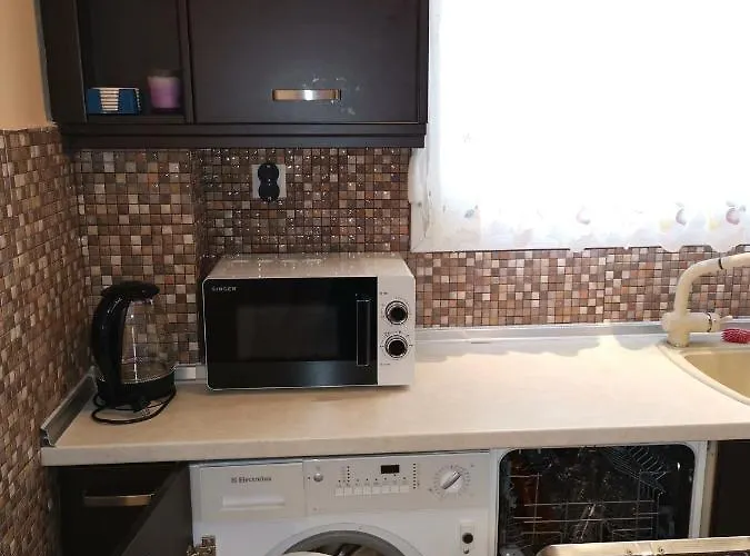 Purple_rose_apartment Case de vacanță